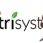 What You Need To Know About Nutrisystem