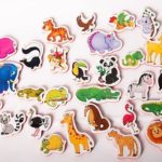 Fun Magnets For Kids: Things You Should Know About
